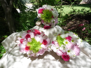 GOOD AFTERNOON TRI-CITIES.. WELCOME SPRING TIME…WEDDING PICTURES FROM GOOSE RIDGE WINERY LAST SPRING….