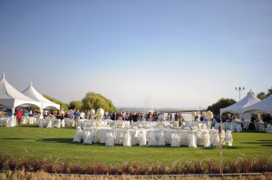 GOOD EVENING TRI-CITIES.  MORE PHOTOS OF WEDDING IN A WHEAT FIELD. PLEASE ENJOY