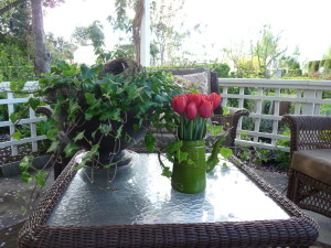 GOOD MORNING TRI-CITIES….CONTINUING CHANGE OF THE PATIO….NEVER ENDING………..