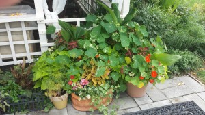 20140627_102820
