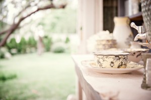 View More: http://lizrobinsonphotography.pass.us/twigs-finals